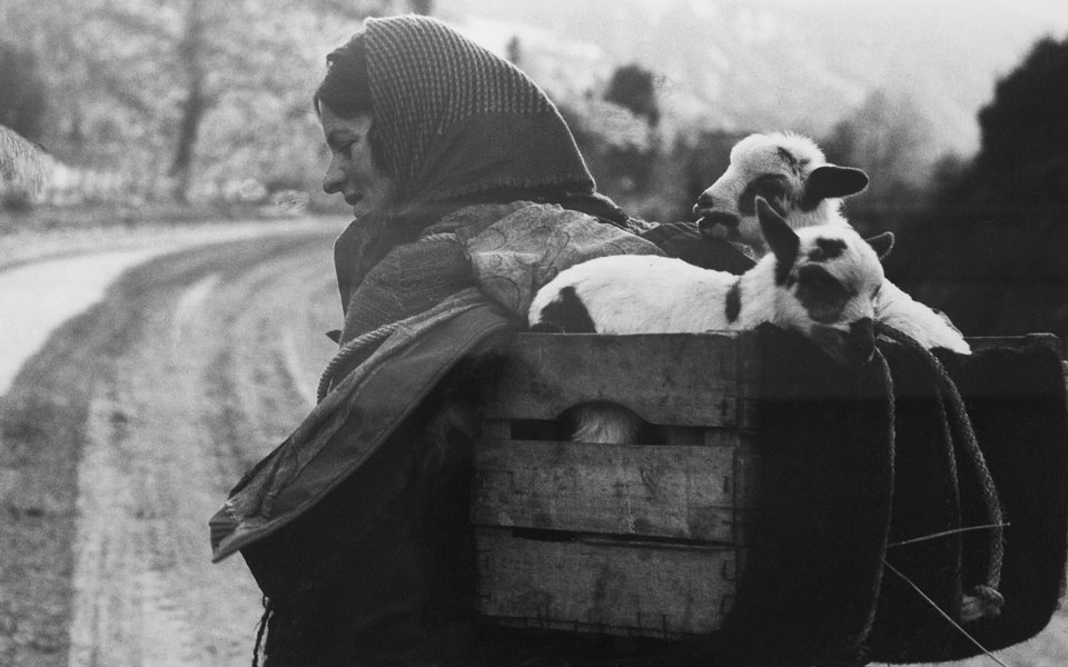 φωτογραφική-έκθεση-στο-διάβα-για-τη-2095225