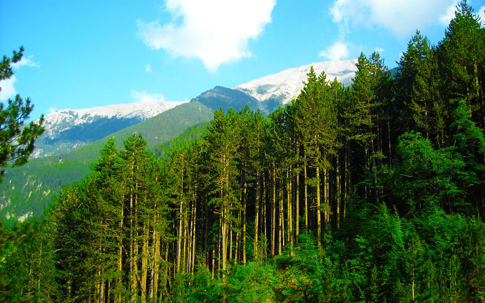 ευρωπαϊκό-πρόγραμμα-lifε-χρηματοδότηση-2094950