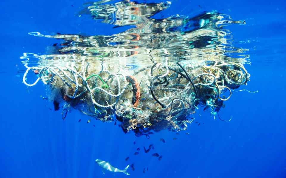 τόσο-δα-πλαστικό-μεγάλο-το-κακό-2095546