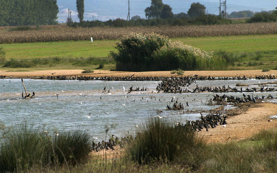 απαιτούνται-άμεσα-μέτρα-για-τη-διάσωσ-2095329