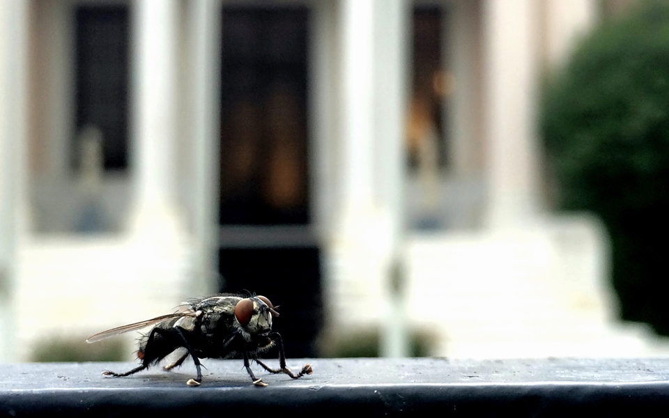 από-τα-νοήματα-στα-βιώματα-2091333