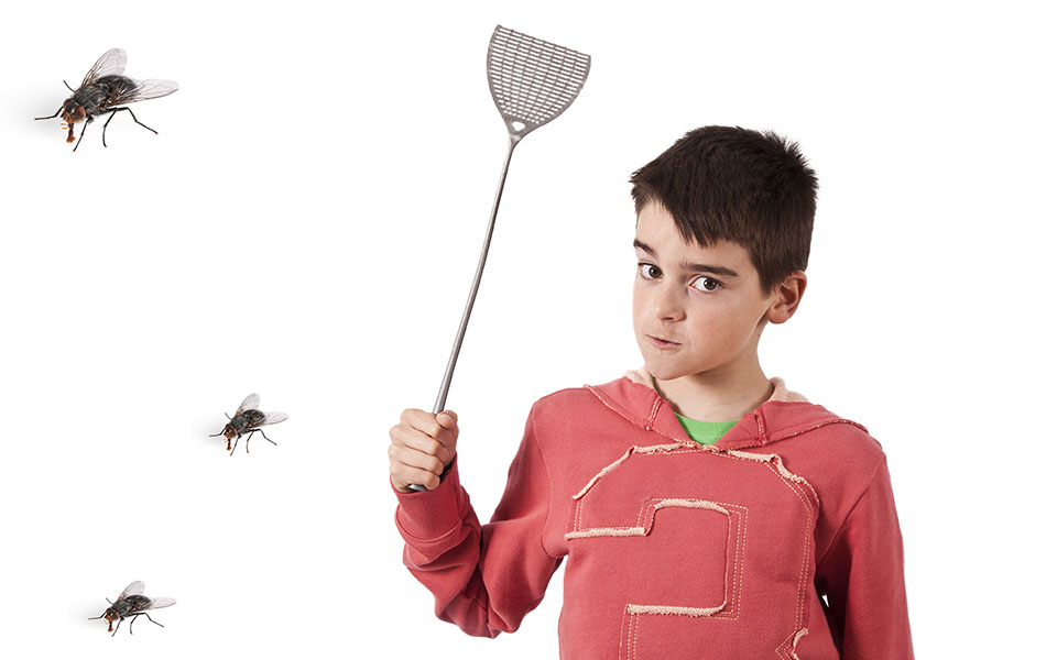 aπό-πού-μου-έρχεται-η-μυγοσκοτώστρα-2095750