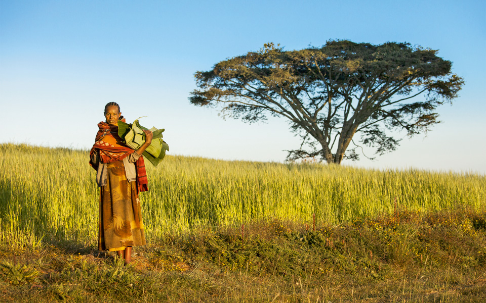 αιθιοπία-o-φετινός-κορυφαίος-προορισμ-2094297