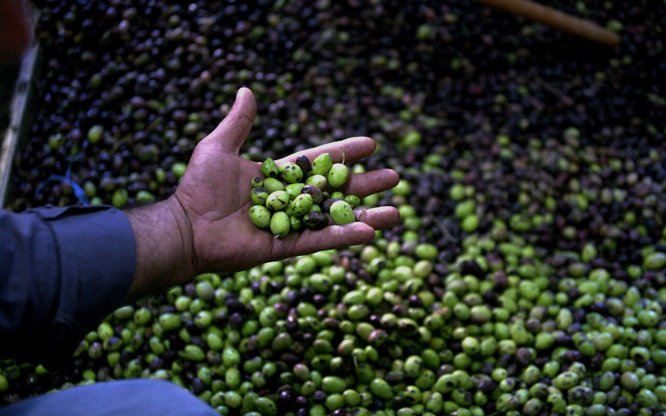 κοκτέιλ-θανάτου-από-νοσήματα-καρδιάς-2092454