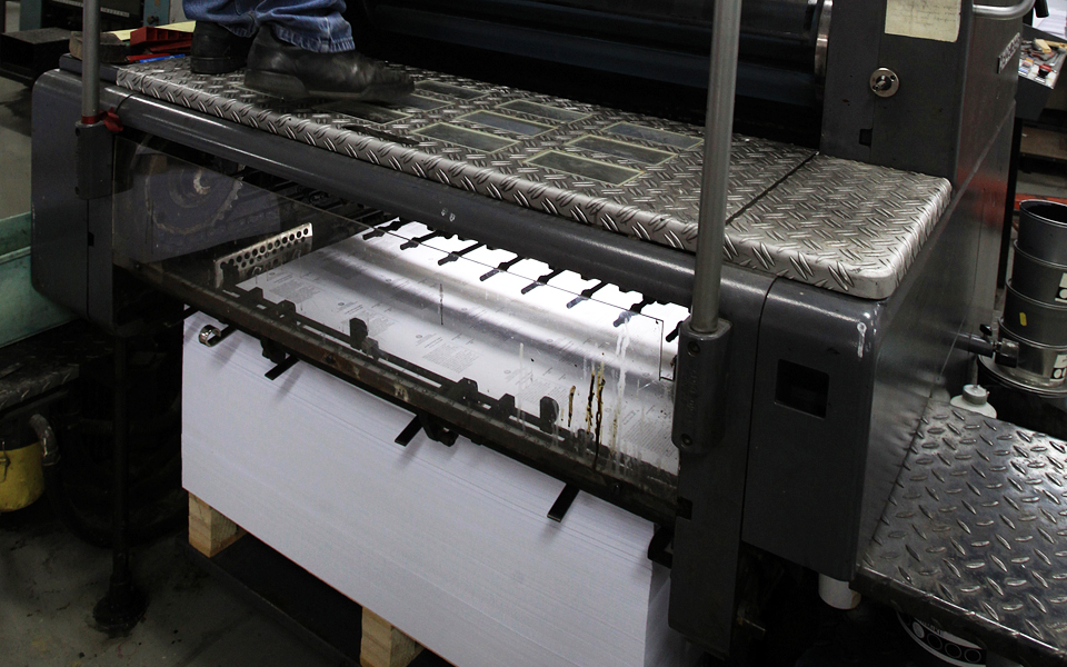 αλιβιζάτος-ψευδεπίγραφο-το-δημοψήφι-2091039