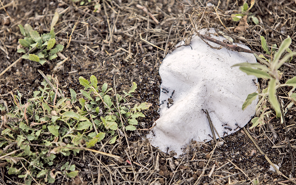 εικαστικές-διασταυρώσεις-στη-ρωμα-2097290