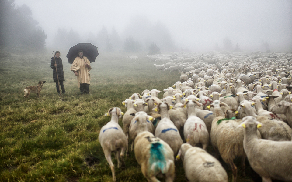 νέοι-σπουδάζουν-την-τέχνη-του-βοσκού-σ-2097805