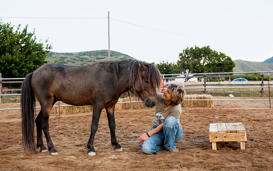 η-ζωή-με-το-equus-caballus-skyriano-2099298