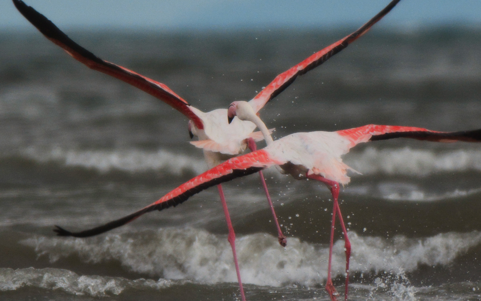 σε-υψηλό-κίνδυνο-βρίσκονται-οι-προστα-2099134