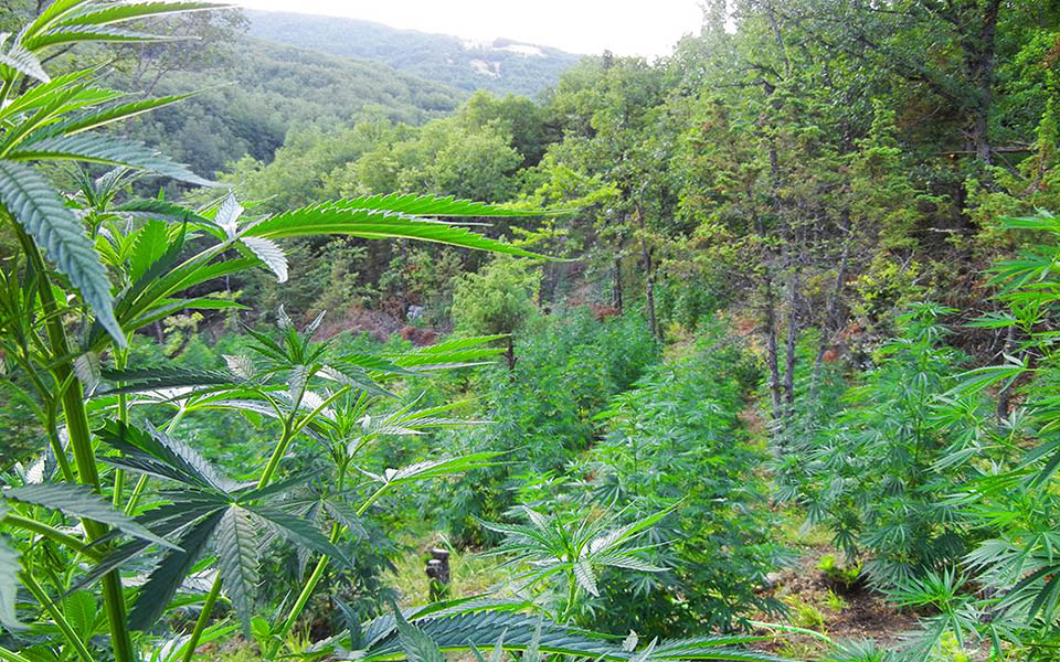 η-αστυνομία-σκανάρει-τον-μυλοπόταμ-2097864