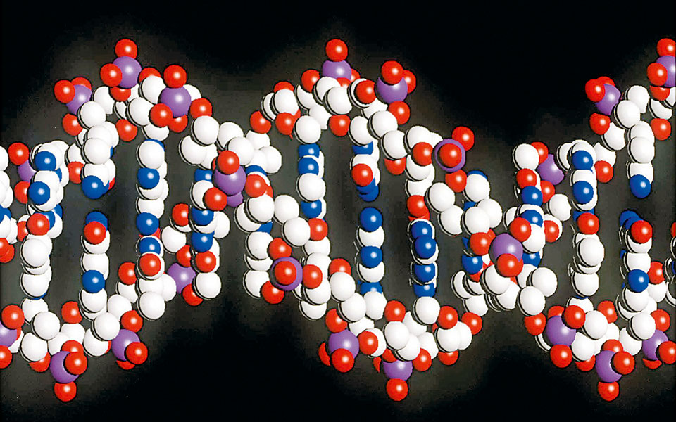 ανάγκη-μορατόριουμ-στη-χρήση-του-crispr-2096793