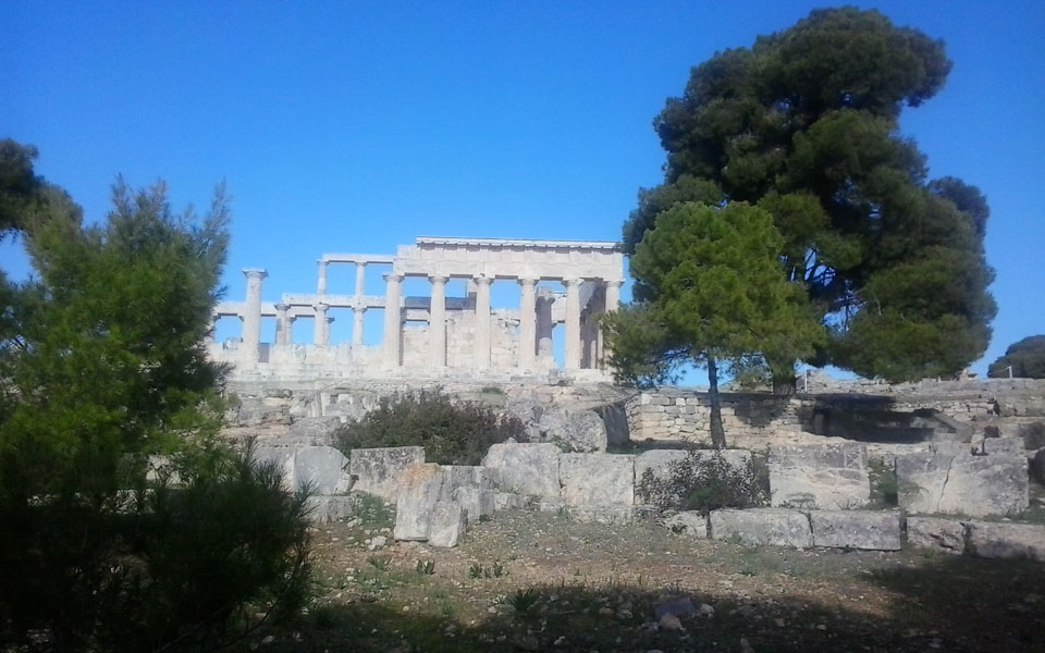 χορός-από-τη-φύση-2098655