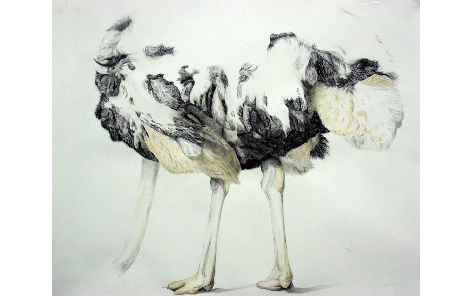 στη-σίφνο-ελληνες-και-γάλλοι-καλλιτέχ-2097929