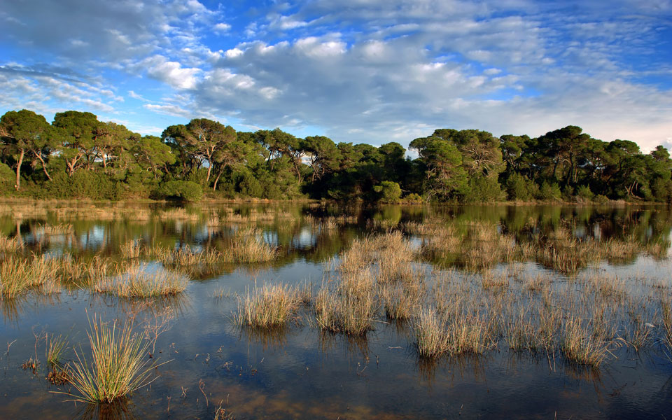 στο-κέντρο-γαία-του-μουσείου-γουλανδρ-2100741