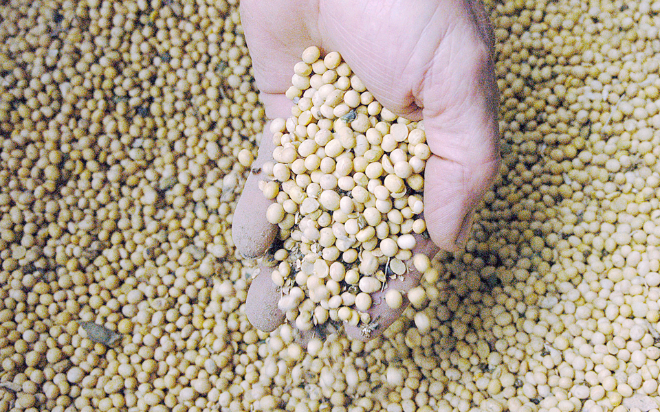 ενας-βρώμικος-διατροφικός-πόλεμος-2101159