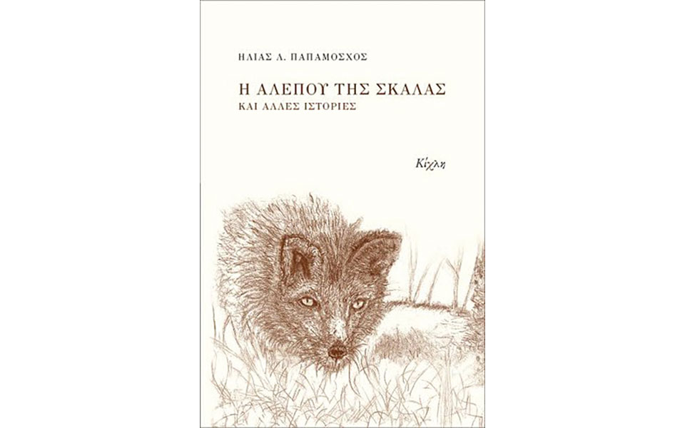 η-αίσθηση-των-πραγμάτων-2099761