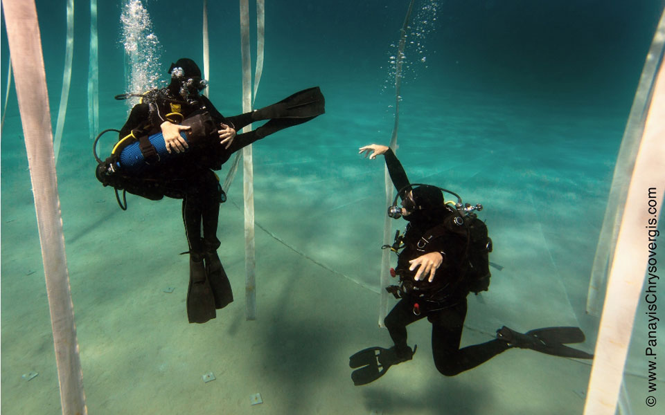 drops-of-breath-υποβρύχια-παράσταση-και-για-τολμη-2102638