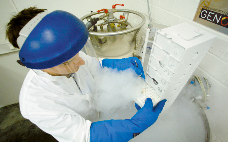 κατά-το-ήμισυ-γενετικός-ο-καρκίνος-των-2100938