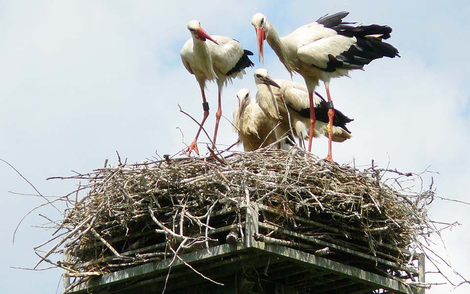τοκ-τοκ-ο-σεπτέμβρης-χτυπάει-την-πόρτ-2100803