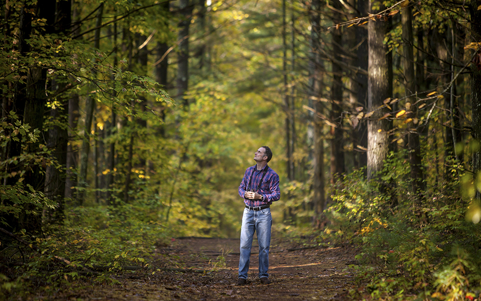 οηε-μείωση-50-στην-παγκόσμια-αποψίλωση-2100278