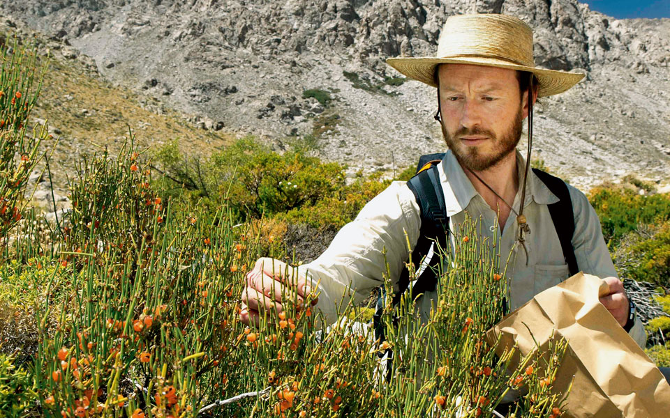 μεγαλύτερη-ποικιλία-σπόρων-για-διατρ-2101611