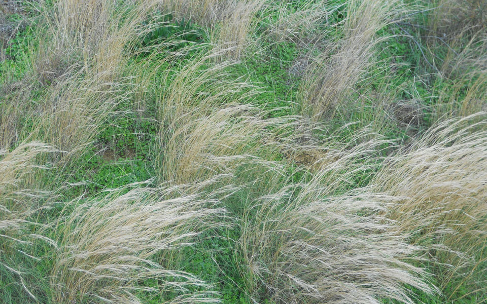 απόκοσμοι-τόποι-γοητευτικοί-μέσα-στη-2099934