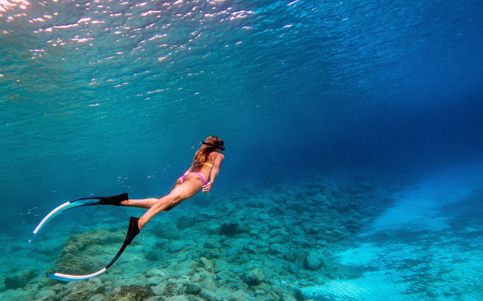 εντυπωσιακή-κατάδυση-στο-πλανητάριο-2108330