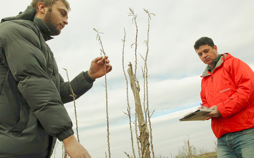 πρόγραμμα-ενίσχυσης-αυτοαπασχόλησης-2108522