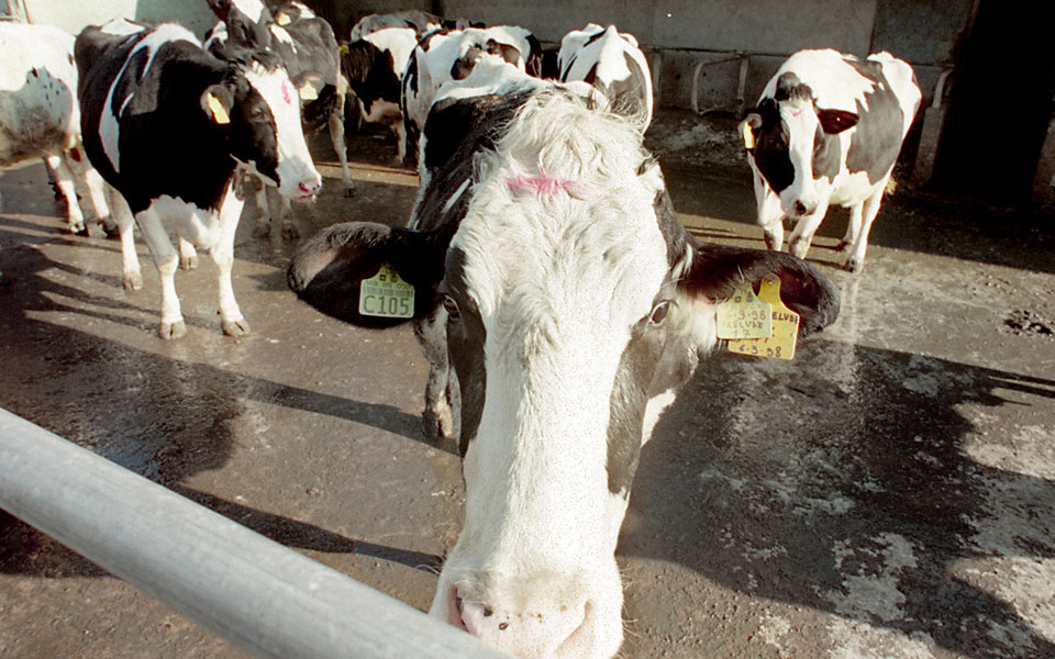 στροφή-σε-πιο-φυσικές-τροφές-με-υψηλά-λ-2104385