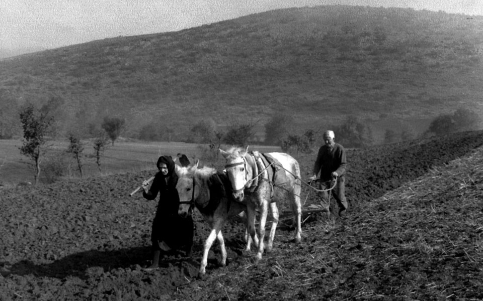 φόροι-ατελέσφοροι-2106626