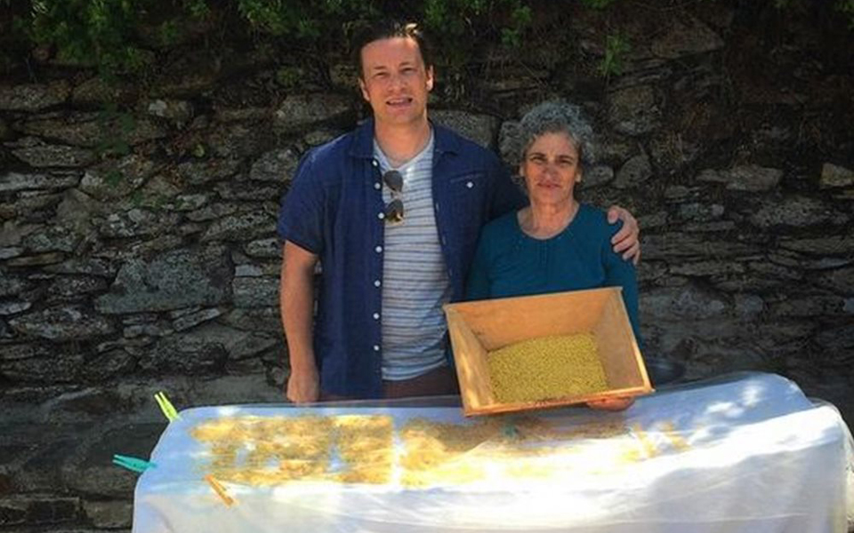 οι-ευκαιρίες-κρύβονται-στο-φαγητό-2108352