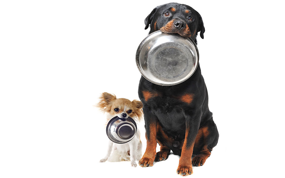 τους-αξίζει-μια-ωραία-ζωή-2106228