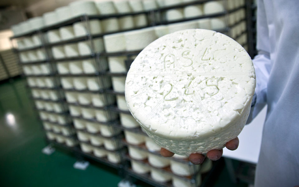 το-θαύμα-της-πεντανόστιμης-μούχλας-2104384