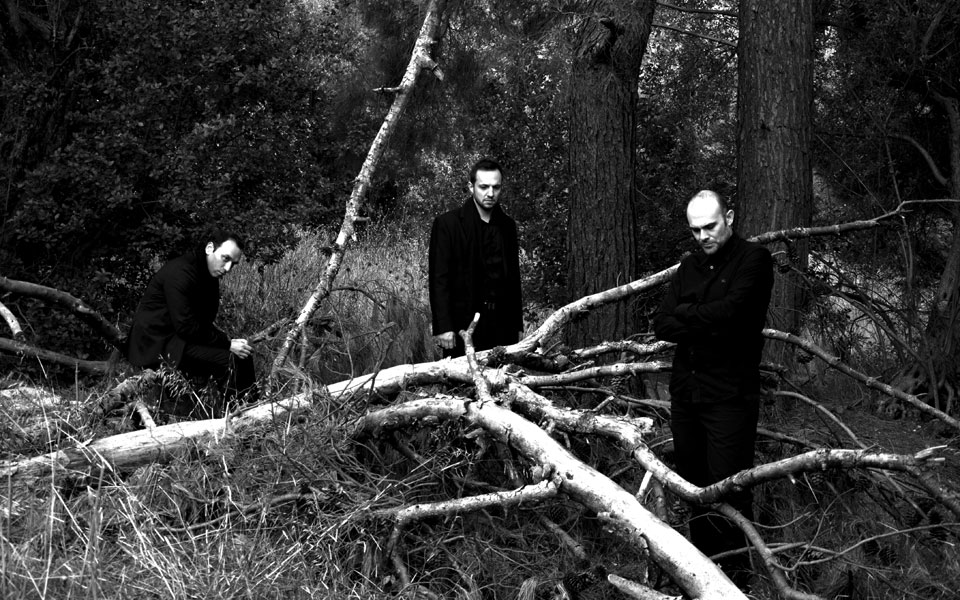 η-συνύπαρξη-των-διαφορετικών-ειδών-στ-2106964