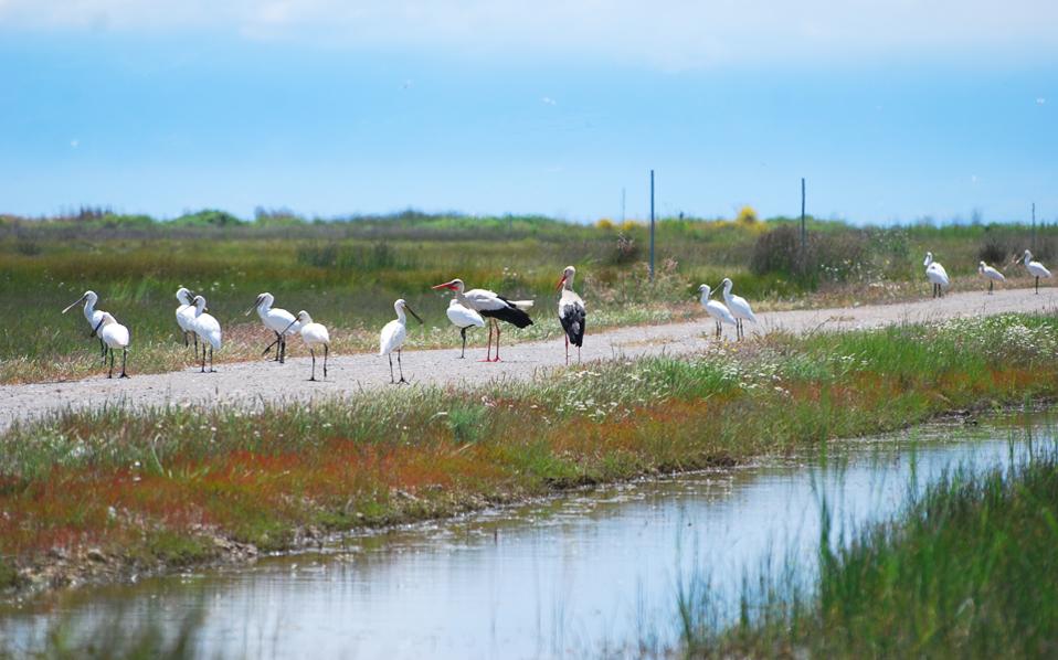 ανάσα-5-εκατ-ευρώ-σε-28-φορείς-από-πράσι-2107003