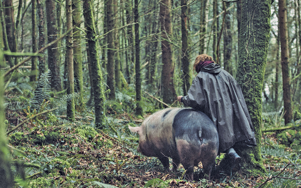 ελληνικό-κοινοβούλιο-όπως-λέμε-αστ-2109163