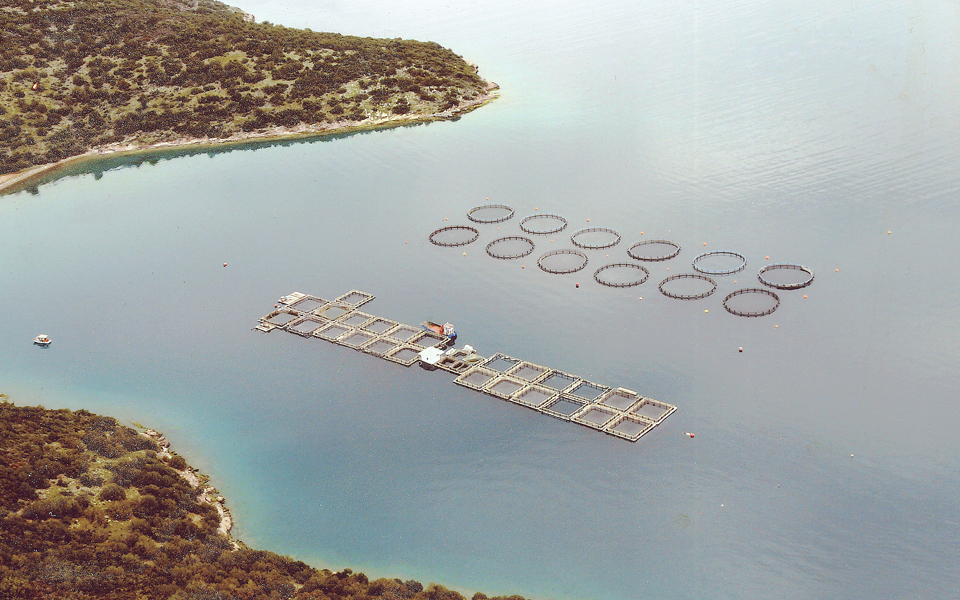 πρόγραμμα-ύψους-388-εκατ-για-ενίσχυση-τη-2111353