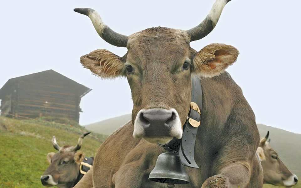 να-ζήσουμε-να-τη-θυμόμαστε-2111670