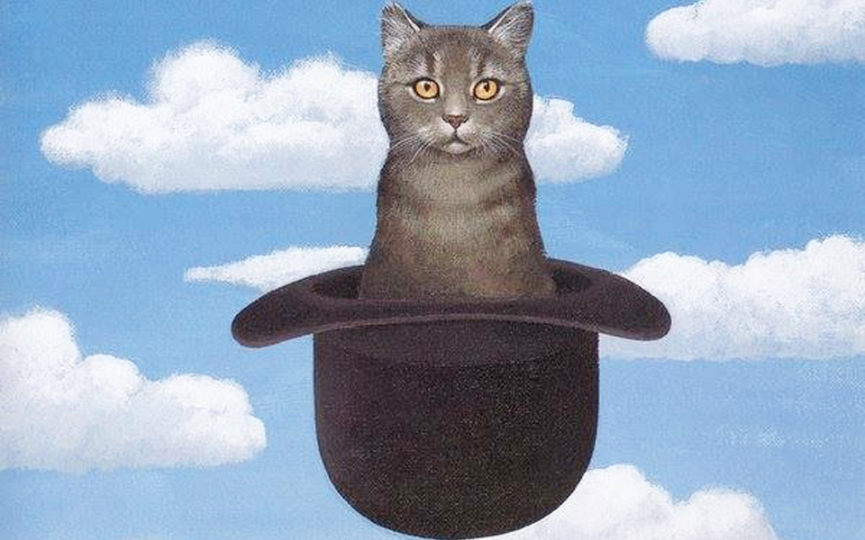αυτό-που-βλέπετε-δεν-είναι-μια-γάτα-αυτ-2112271