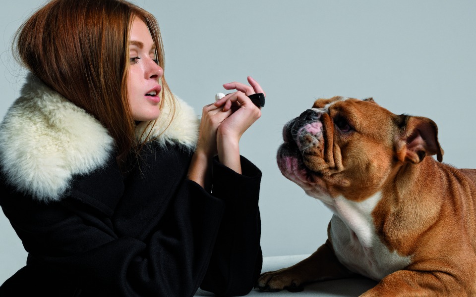 fashion-dog-day-afternoon-2112185