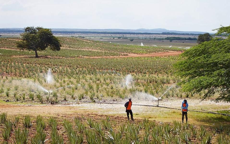εως-4-δεκεμβρίου-οι-επιδοτήσεις-από-το-υ-2112060