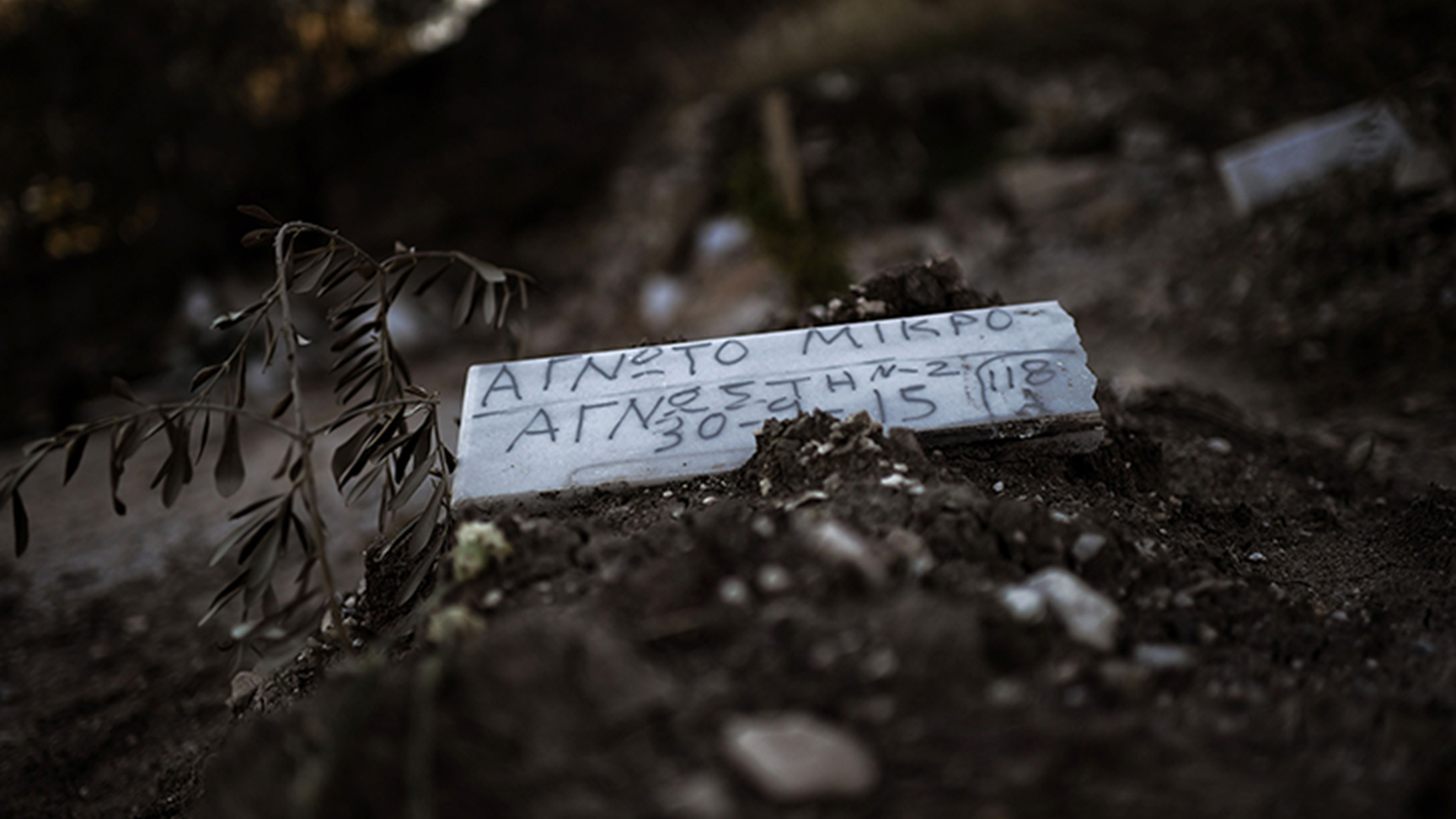 χωρίς-όνομα-2109585