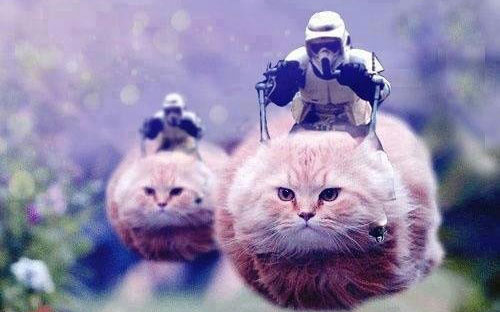 μεγάτες-απάντησαν-οι-βρυξέλλες-στον-2111540