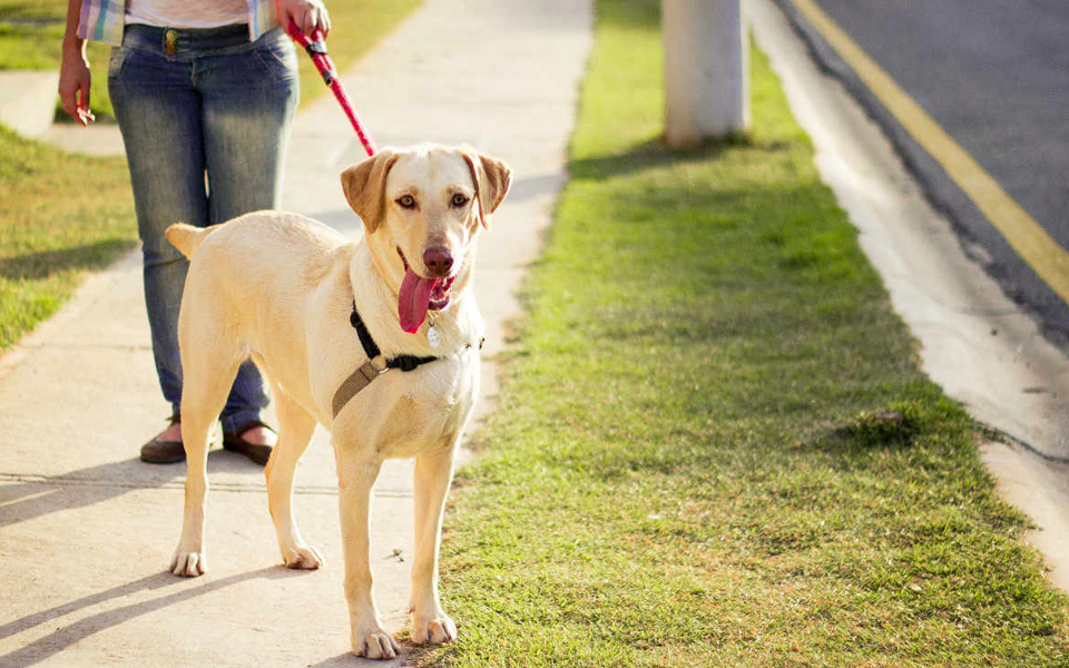 πέρα-από-τη-μόδα-2115785