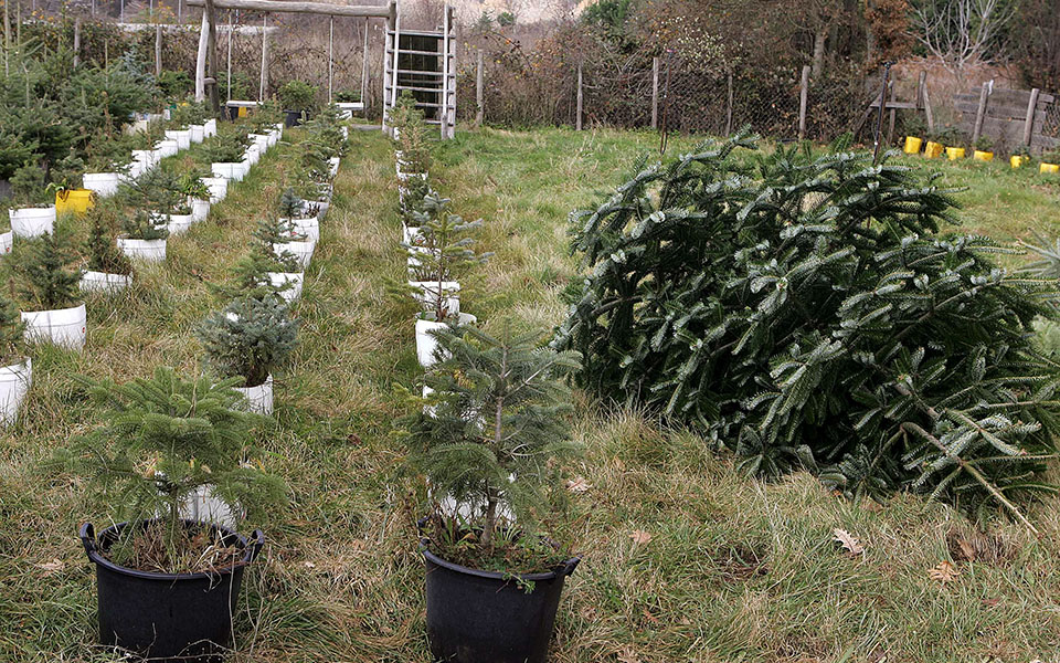 την-δευτέρα-η-καταβολή-των-αγροτικών-ε-2113379