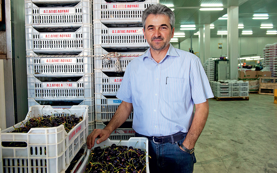 τα-κεράσια-του-αγίου-λουκά-2114443