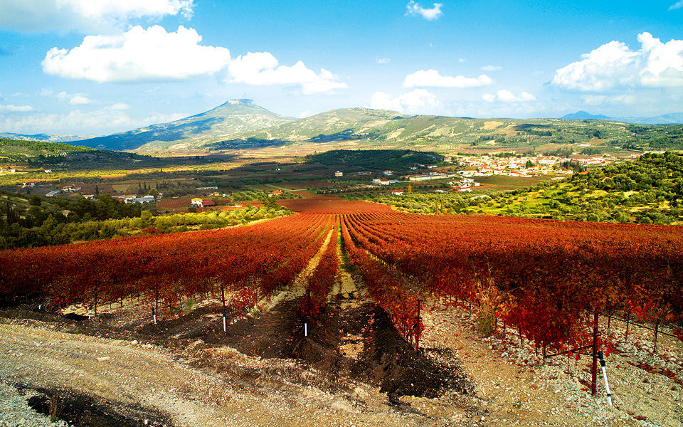 γιώργος-παλυβός-το-αγιωργίτικο-είνα-2114953