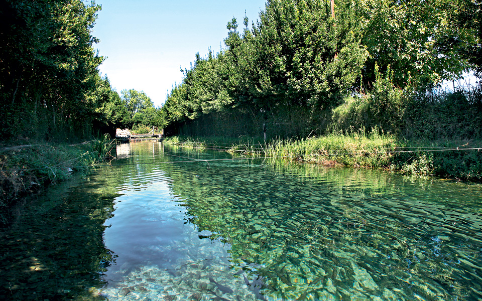 πέστροφεs-ορχομενού-2114450