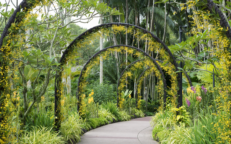 πρωτιές-για-το-πιο-πράσινο-αξιοθέατ-2115177