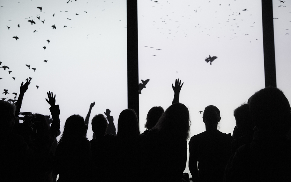 η-στέγη-δίνει-φτερά-στα-όνειρα-2115005